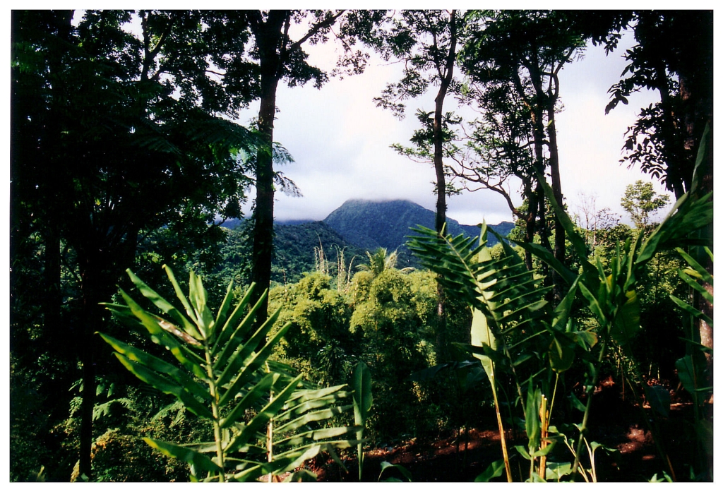 01 - Martinique (17).jpg